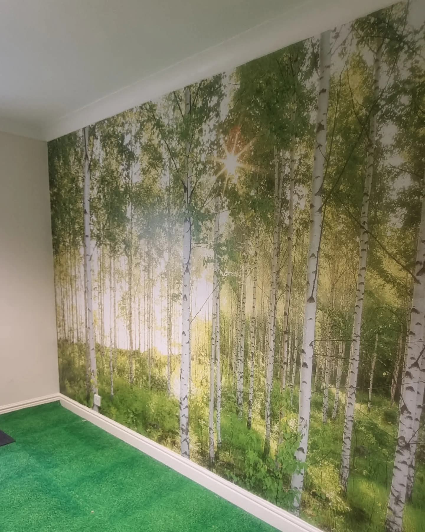 Painters and decorators in Denton